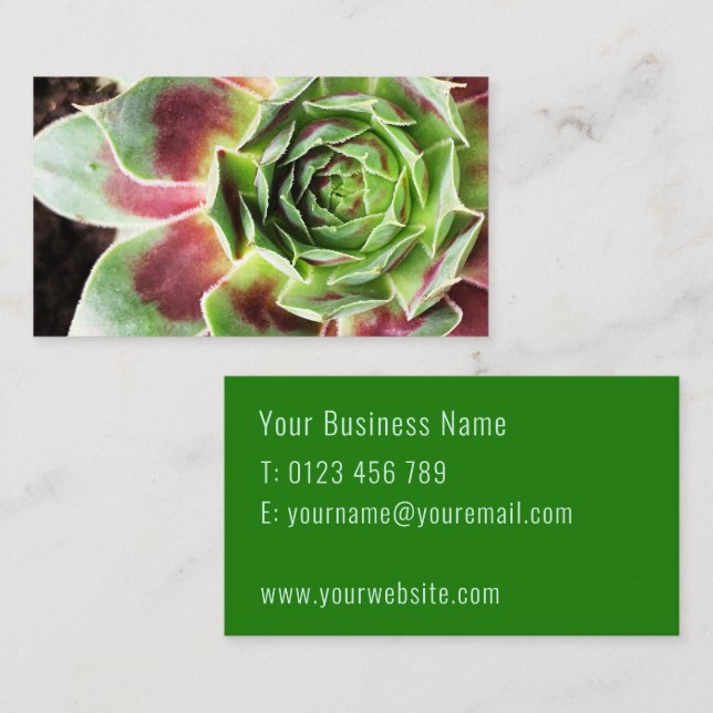 Tarjeta De Visita Planta de planta de planta de planta de agua (Anverso / Reverso)