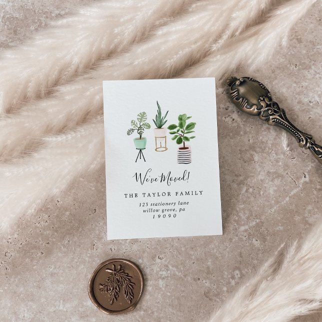 Tarjeta De Visita Plantas de casa pulidas que hemos movido con la ta (Subido por el creador)