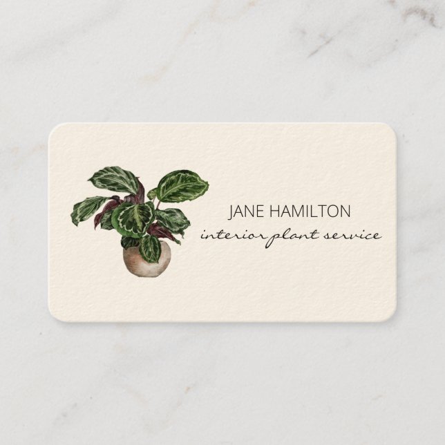 Tarjeta De Visita Plantas de diseño interior (Anverso)