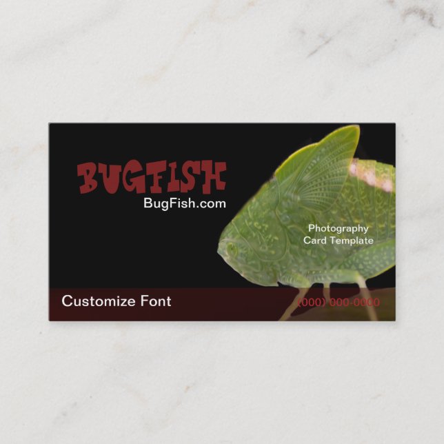 Tarjeta De Visita Plantilla de error de fotografía de BugFish (Anverso)
