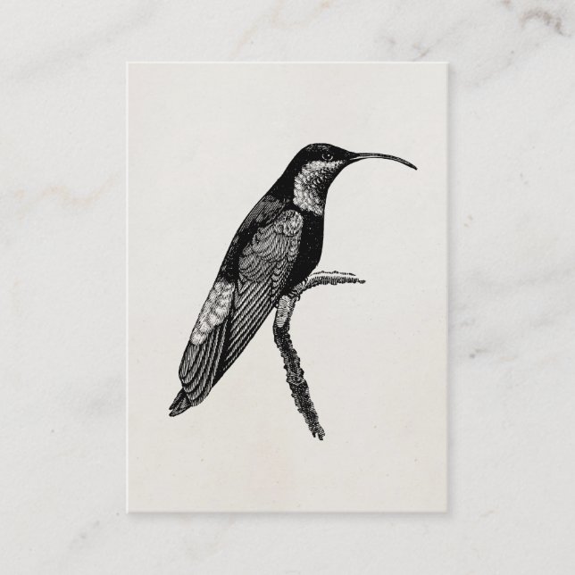 Tarjeta De Visita Plantilla del ilustracion del pájaro del colibrí (Anverso)