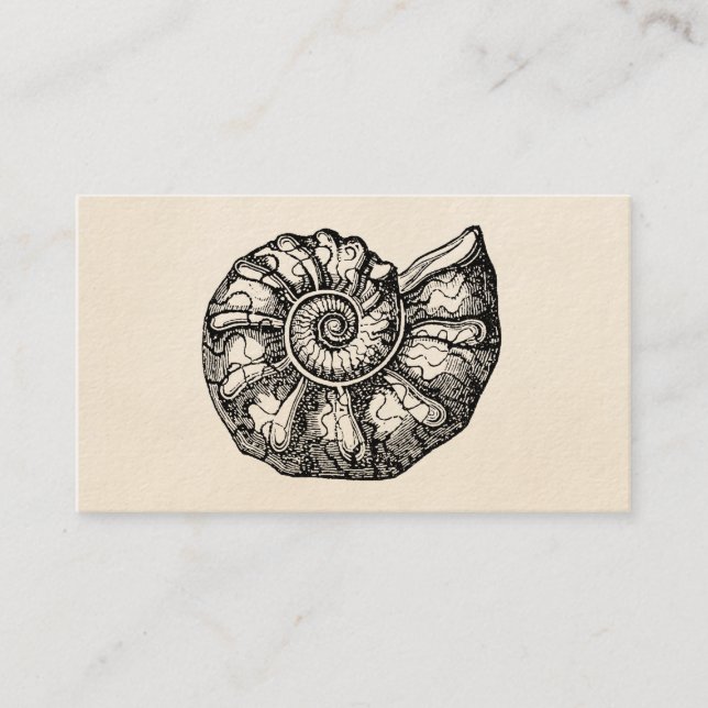 Tarjeta De Visita Plantilla fósil de Shell del Seashell de la (Anverso)