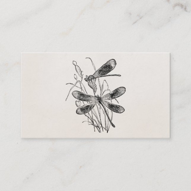 Tarjeta De Visita Plantilla personalizada libélula de la Virgen del (Anverso)