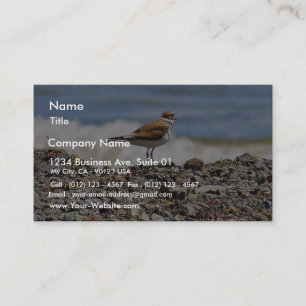 Tarjeta De Visita Playas Birds Oceans