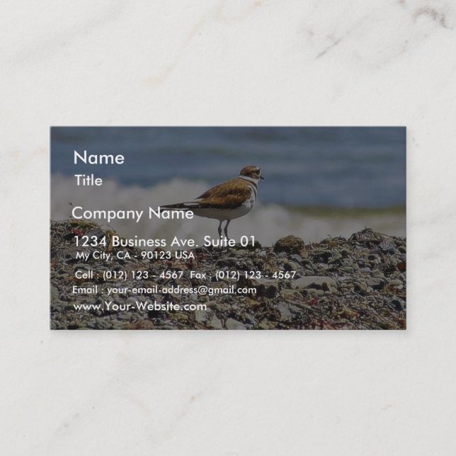 Tarjeta De Visita Playas Birds Oceans (Anverso)