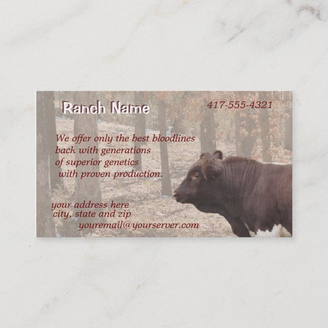Tarjeta De Visita PLBBizCard-personalizar según lo necesitado (Anverso)