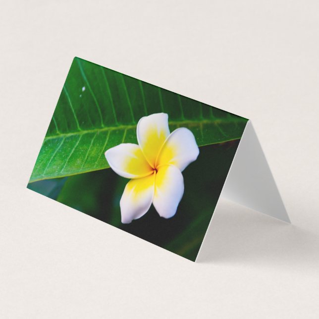 Tarjeta De Visita Plumeria (Anverso)