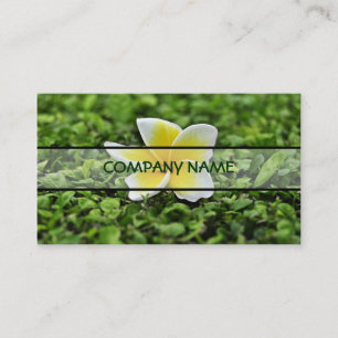 Tarjeta De Visita Plumeria blanca 2