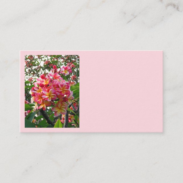 Tarjeta De Visita Plumeria hawaiana (Anverso)