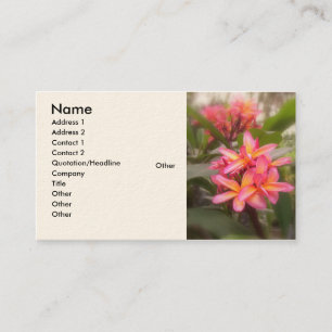 Tarjeta De Visita Plumeria hawaiano