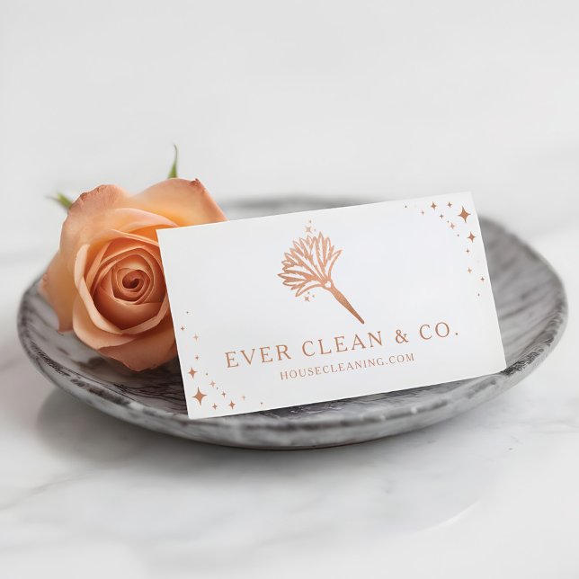 Tarjeta De Visita Plumero profesional y limpieza del hogar  (Feather Duster Professional Maid & House Cleaning Business Card)