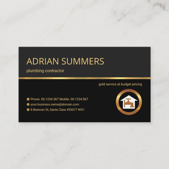 Tarjeta De Visita Plumín de Sombra Gris Retro Gold Professional (Anverso)