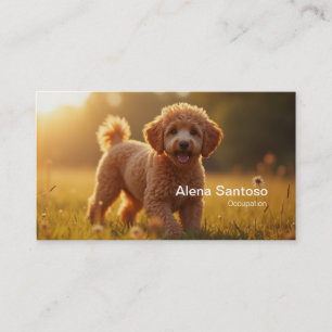 Tarjeta De Visita Poddle Dog