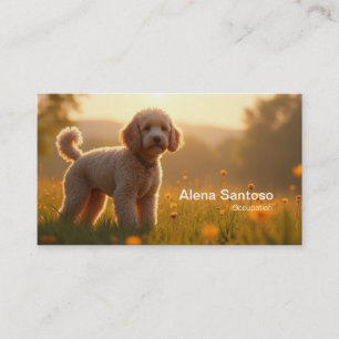 Tarjeta De Visita Poddle Dog