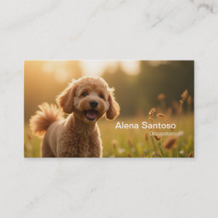Tarjeta De Visita Poddle Dog
