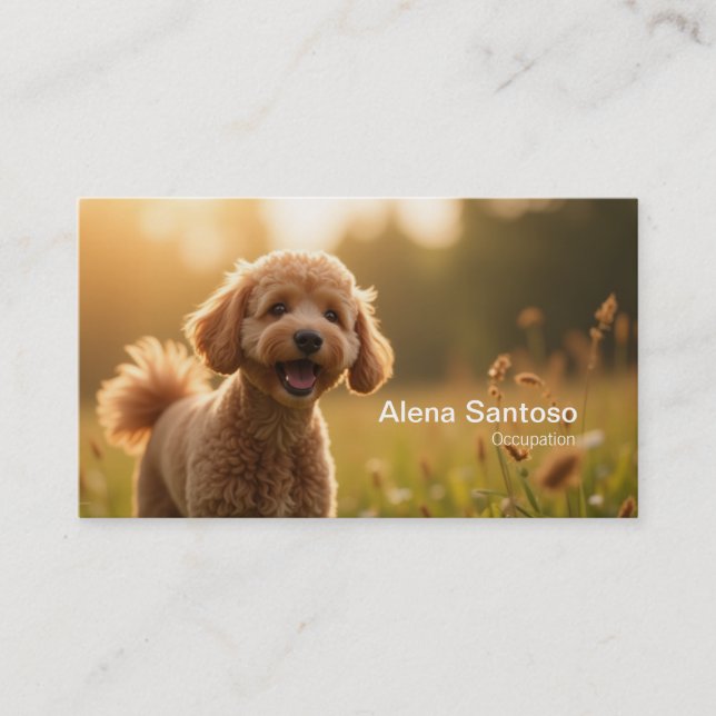 Tarjeta De Visita Poddle Dog (Anverso)