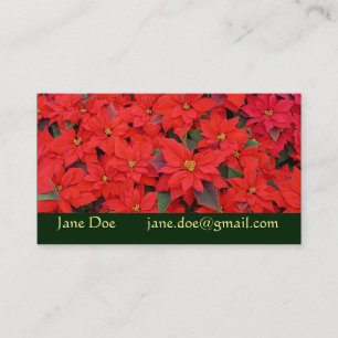 Tarjeta De Visita Poinsettias rojas Navidad la foto floral navideña