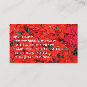 Tarjeta De Visita Poinsettias rojas Navidad la foto floral navideña