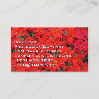 Tarjeta De Visita Poinsettias rojas Navidad la foto floral navideña