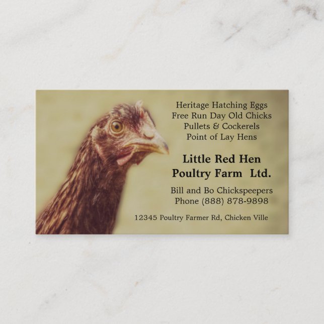 Tarjeta De Visita Pollo del pollo del rojo de Rhode Island - (Anverso)