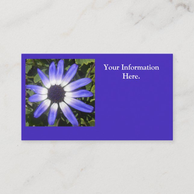 Tarjeta De Visita Pompeya (Anverso)