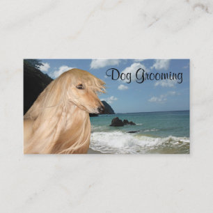 Tarjeta De Visita Preparación del perro de afgano