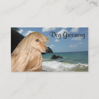 Tarjeta De Visita Preparación del perro de afgano