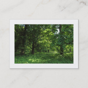 Tarjeta De Visita Primavera en el bosque 01 (Bordeado)