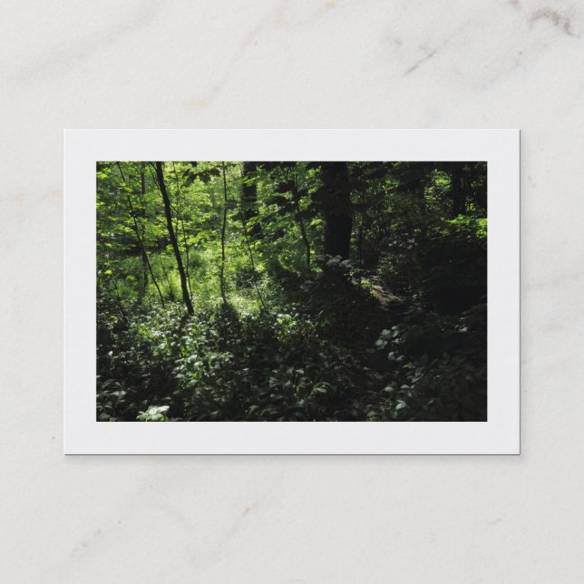 Tarjeta De Visita Primavera en el bosque 05 (Bordeado) (Anverso)