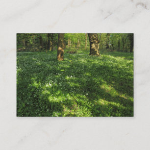 Tarjeta De Visita Primavera en los bosques