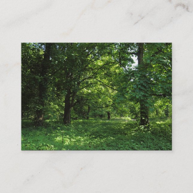 Tarjeta De Visita Primavera en los bosques 01 (Anverso)