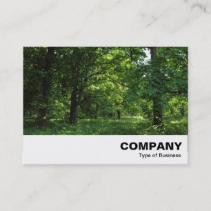 Tarjeta De Visita Primavera en los bosques 01