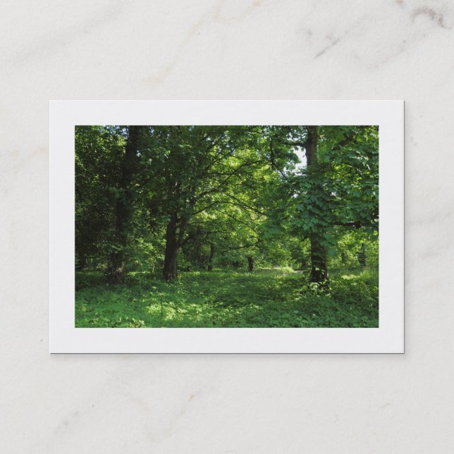 Tarjeta De Visita Primavera en los bosques 01 (bordeados) (Anverso)