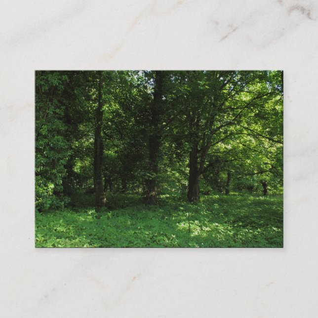 Tarjeta De Visita Primavera en los bosques 02 (Anverso)