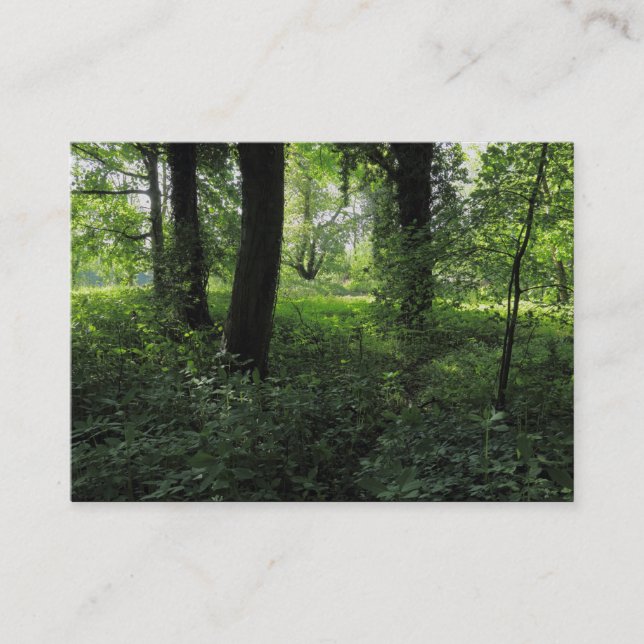 Tarjeta De Visita Primavera en los bosques 04 (Anverso)