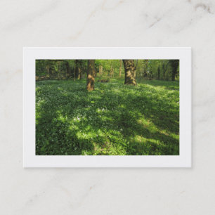 Tarjeta De Visita Primavera en los bosques (bordeados)