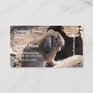 Tarjeta De Visita Producto del personalizar