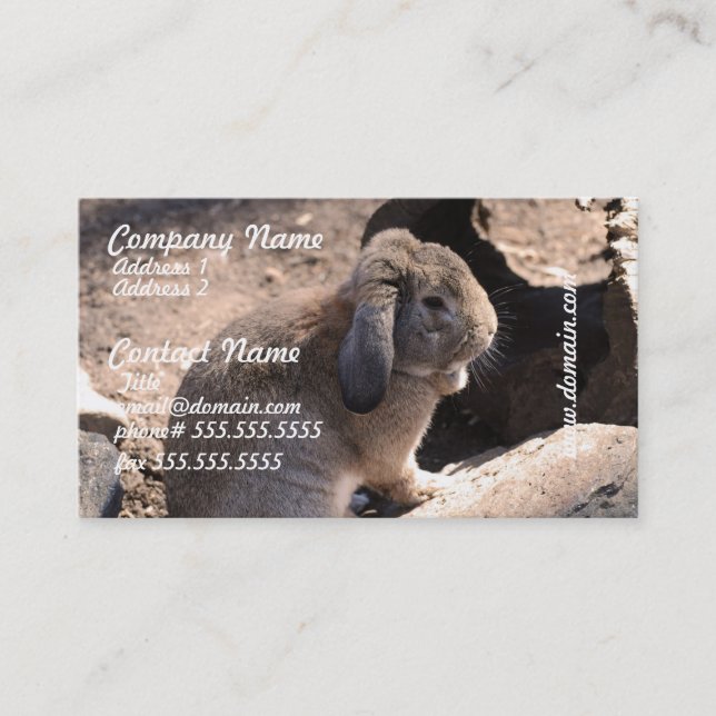 Tarjeta De Visita Producto del personalizar (Anverso)