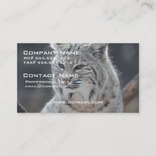 Tarjeta De Visita Producto del personalizar