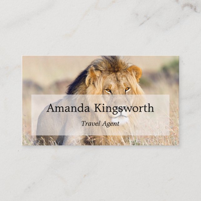 Tarjeta De Visita Profesional de African Safari Travel (Anverso)