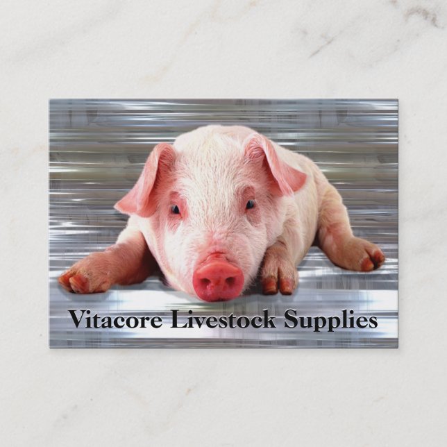 Tarjeta De Visita Profesional del cerdo (Anverso)