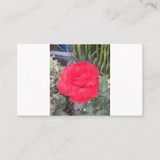 Tarjeta De Visita prueba