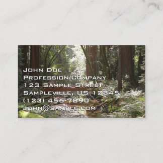 Tarjeta De Visita Puente Muir Woods II