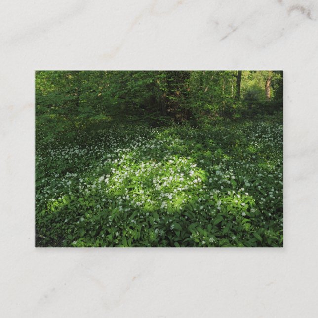 Tarjeta De Visita Punto de ajo (Anverso)