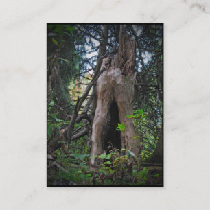 Tarjeta De Visita ¿Quién vive aquí? ATC