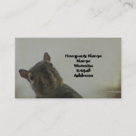 Tarjeta De Visita Quirky Squirrel