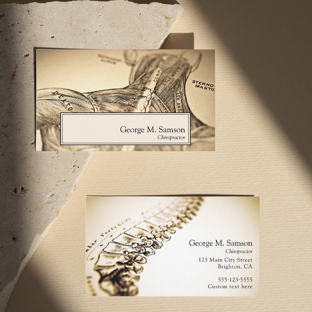 Tarjeta De Visita Quiropráctico de ilustracion anatómico antiguo (Subido por el creador)