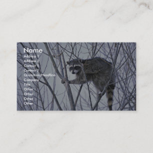Tarjeta De Visita Raccoon