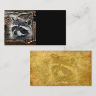 Tarjeta De Visita Raccoon En El Antiguo Barn