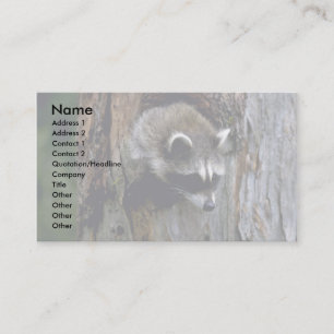 Tarjeta De Visita Raccoon-Verano-Joven en árbol hueco
